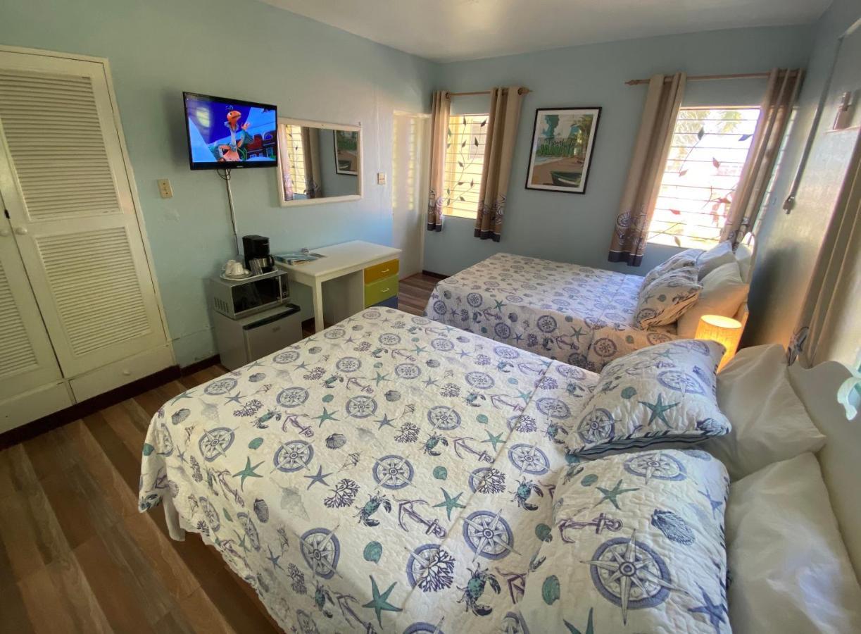 The Blue Orchid B&B Montego Bay Extérieur photo