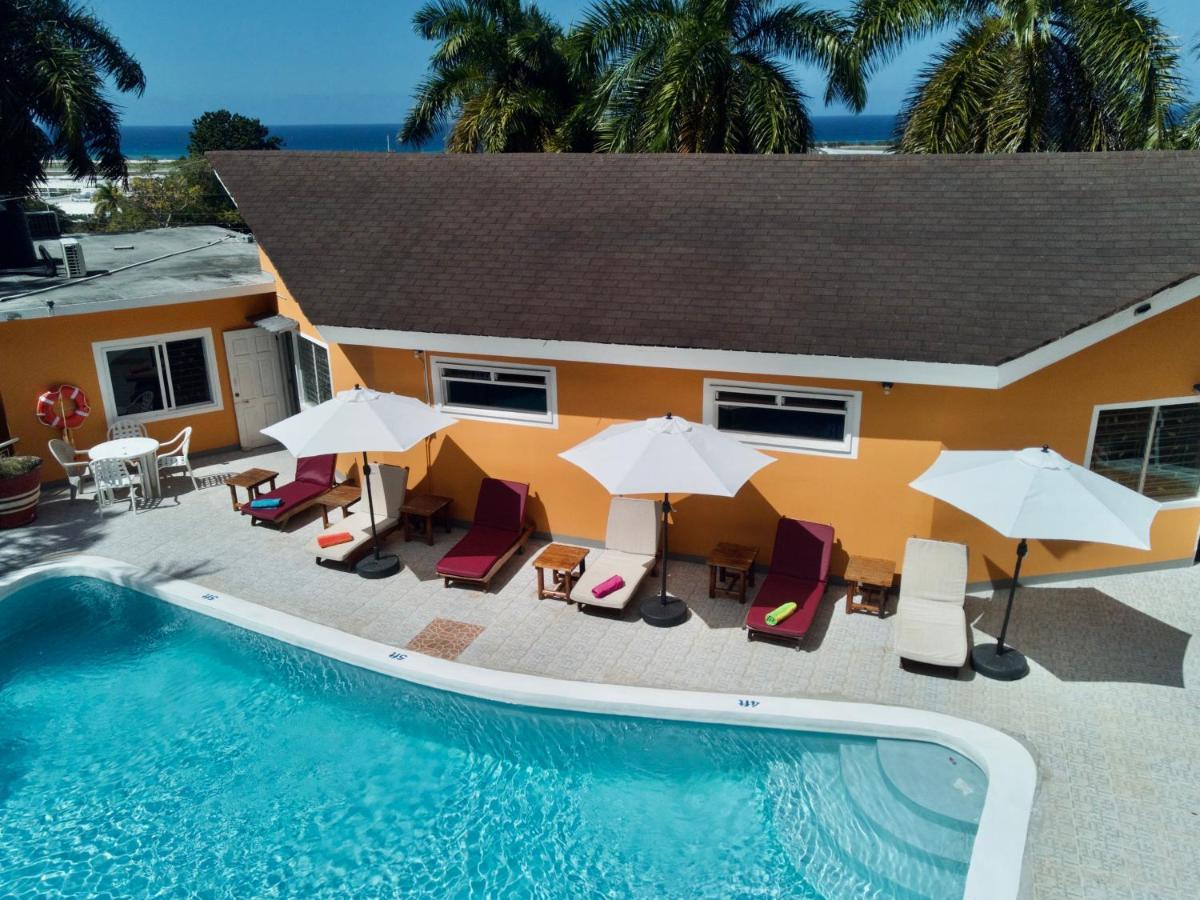 The Blue Orchid B&B Montego Bay Extérieur photo