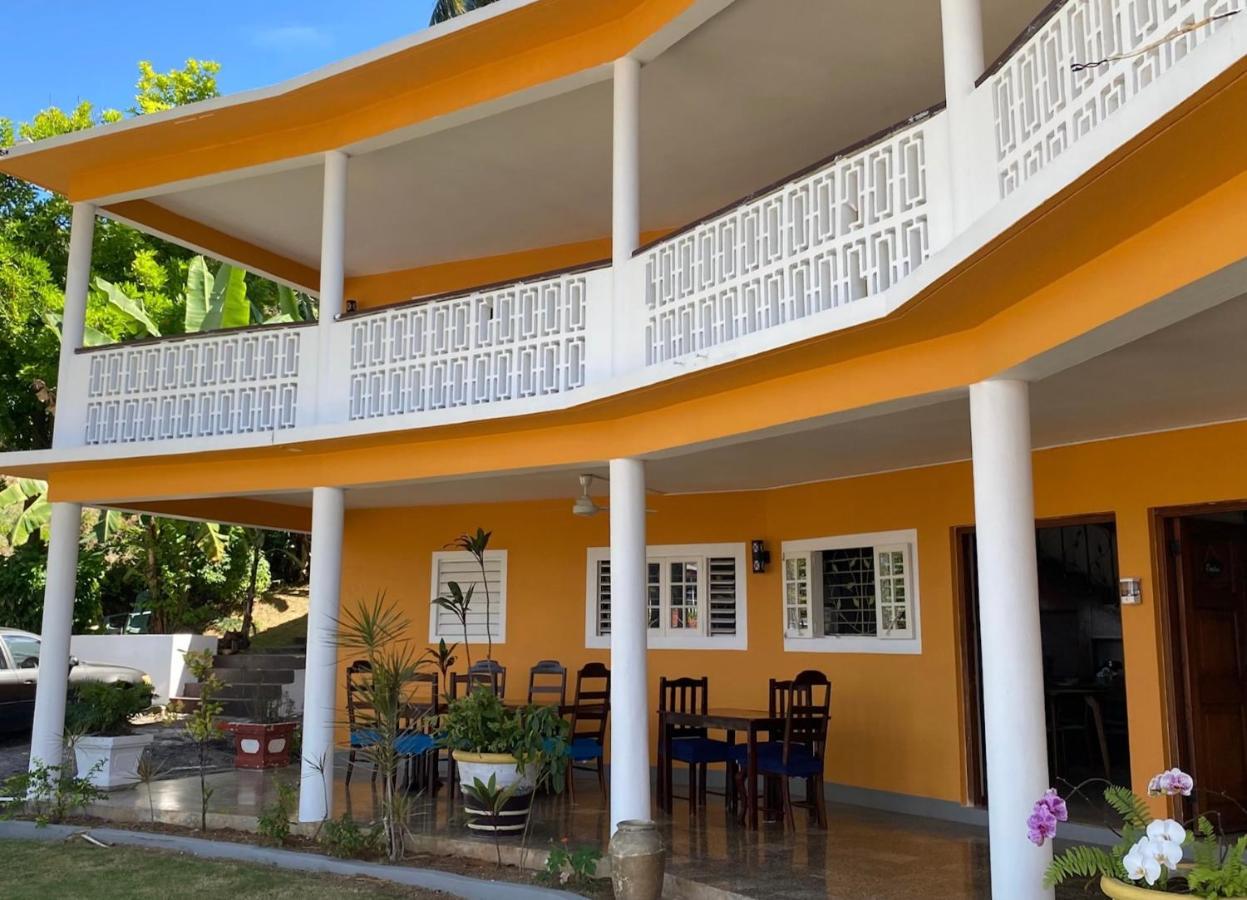 The Blue Orchid B&B Montego Bay Extérieur photo