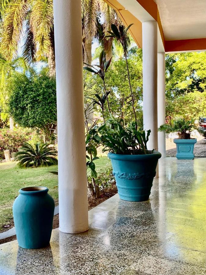 The Blue Orchid B&B Montego Bay Extérieur photo