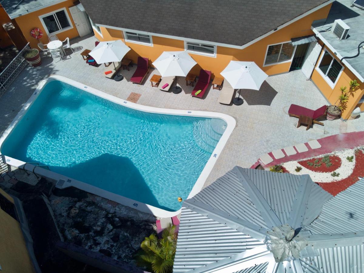 The Blue Orchid B&B Montego Bay Extérieur photo