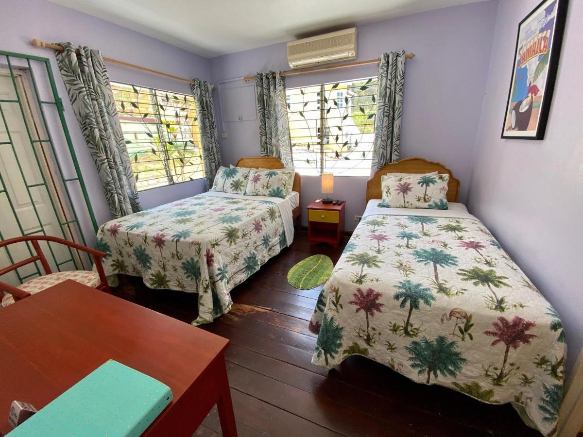 The Blue Orchid B&B Montego Bay Extérieur photo
