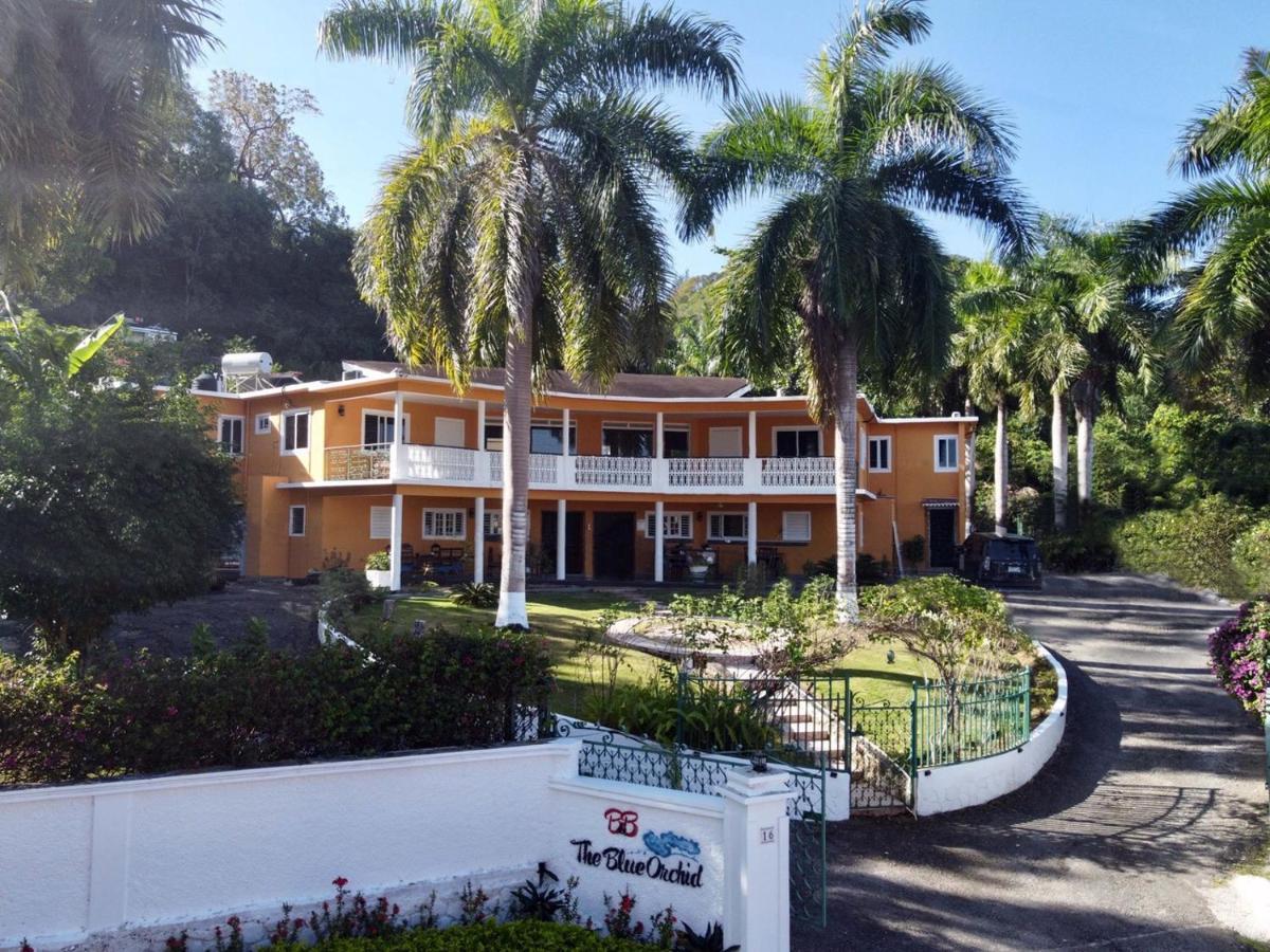The Blue Orchid B&B Montego Bay Extérieur photo