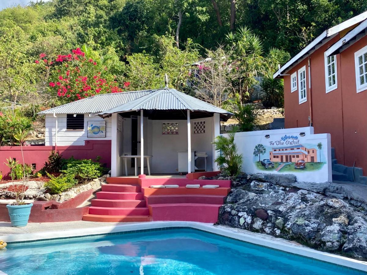 The Blue Orchid B&B Montego Bay Extérieur photo